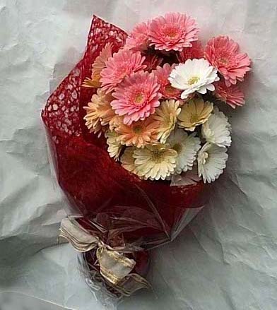 Ankara K�z�lay �i�ek�ilik g�rsel �r�n modeli Kar���k gerbera �i�ekleri buketi