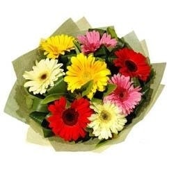 Ankara Ke�i�ren �i�ek�i firma �r�n�m�z Kar���k renkte gerbera �i�ekleri