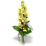 Ankara Kzlay iekilik grsel iek modeli firmamzdan tek dal vazoda kesme orkide iei